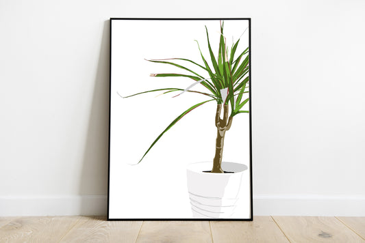 Dracaena Art Print | Planter Art Print, Instant Download, House Plants Wall Art, Plant Wall Art, Digital Download, Printable Plant Art,